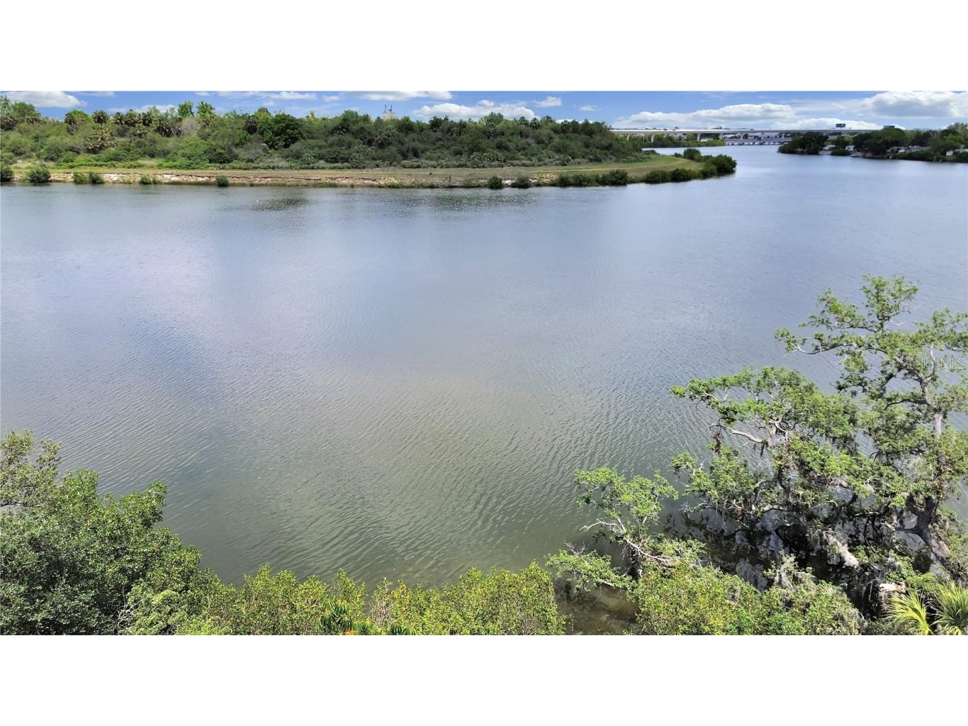 6610 Myrna Dr Tampa FL 33619 - PALM RIVER TB8434170 image2