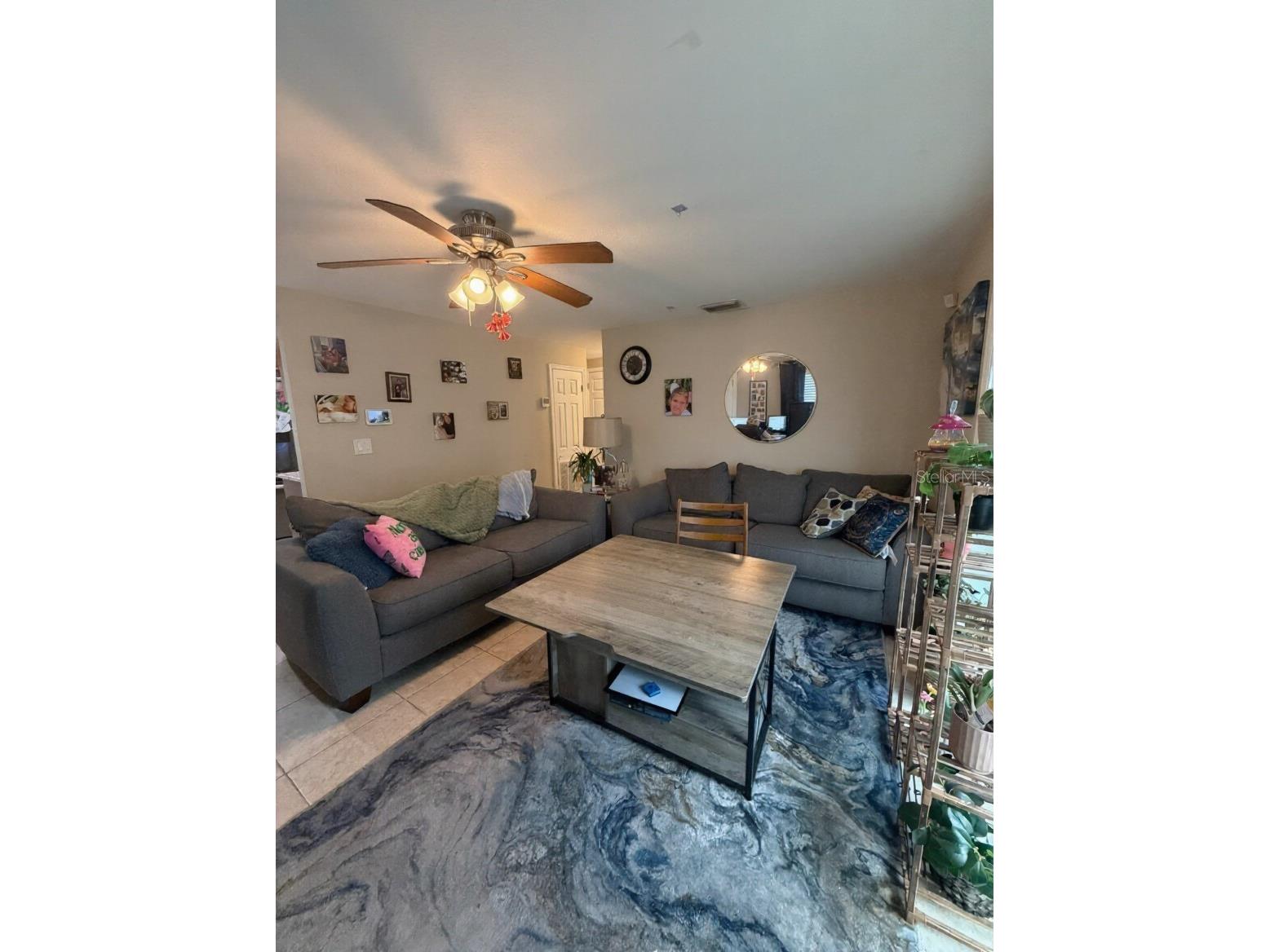 6610 W Chelsea Street Tampa FL 33634 TB8516633 image2