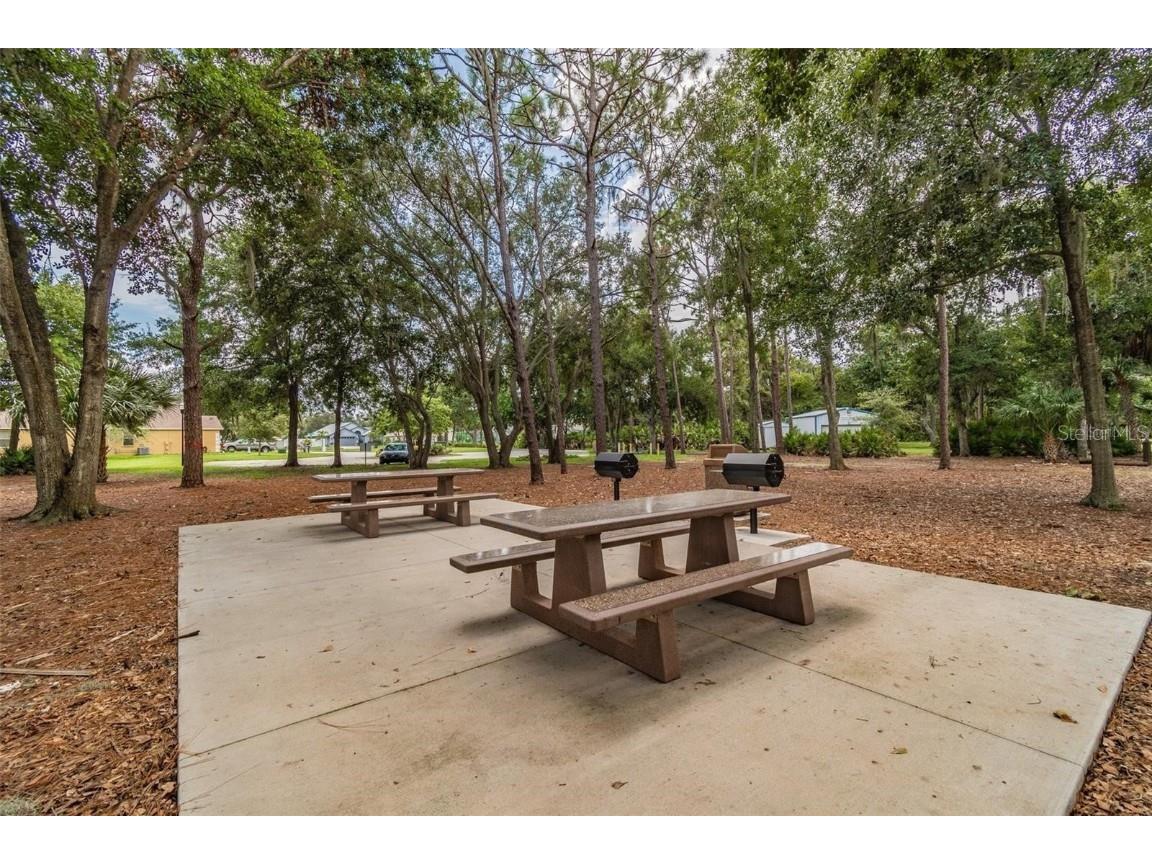 6611 Gates Pointe Way Riverview FL 33578 - LAKE ST CHARLES TB8446560 image52