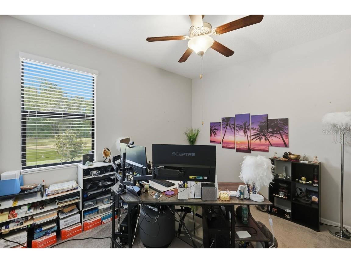 6611 Paden Wheel Street Zephyrhills FL 33541 TB8451179 image24