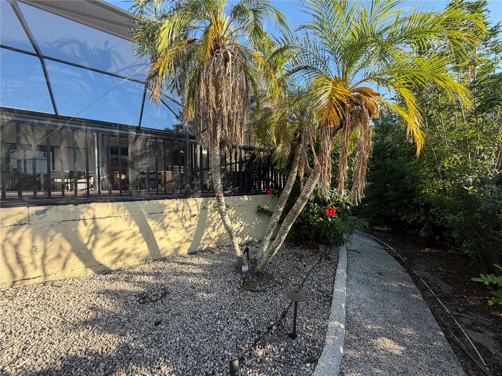6612 Blackfin Way Apollo Beach FL 33572 TB8506836 image42