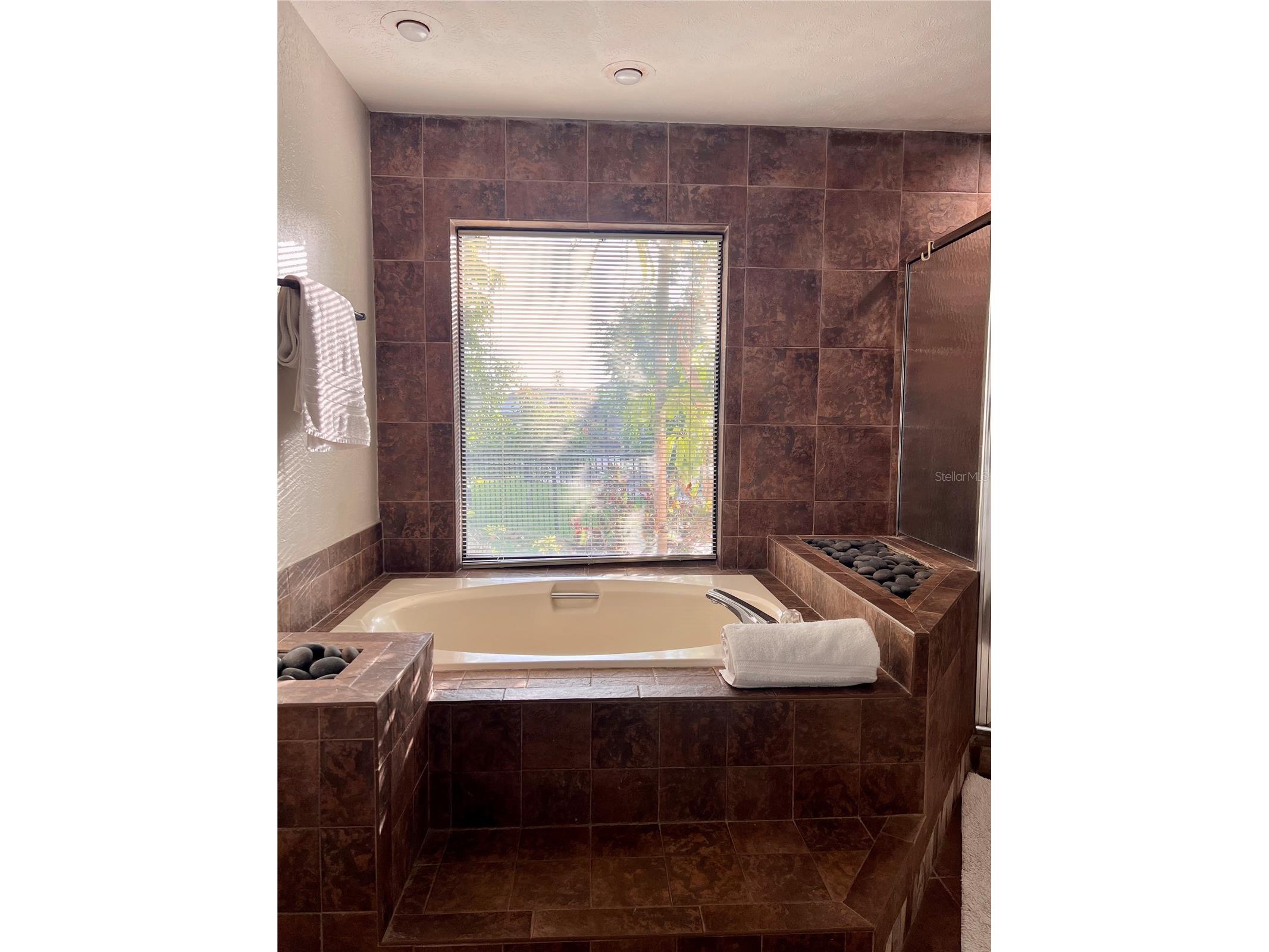 6612 Blackfin Way Apollo Beach FL 33572 TB8506836 image62