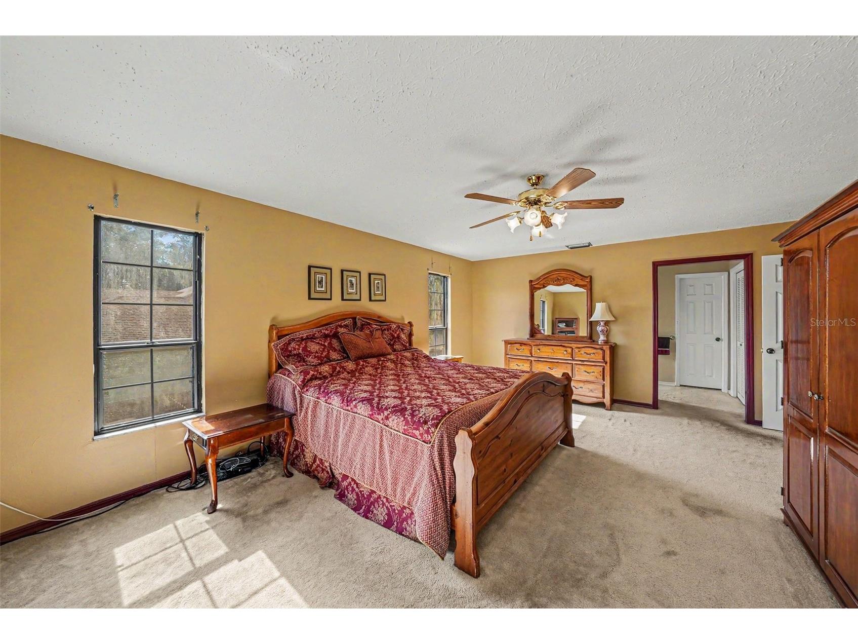 6612 Peachtree Drive Tampa FL 33617 TB8509973 image16