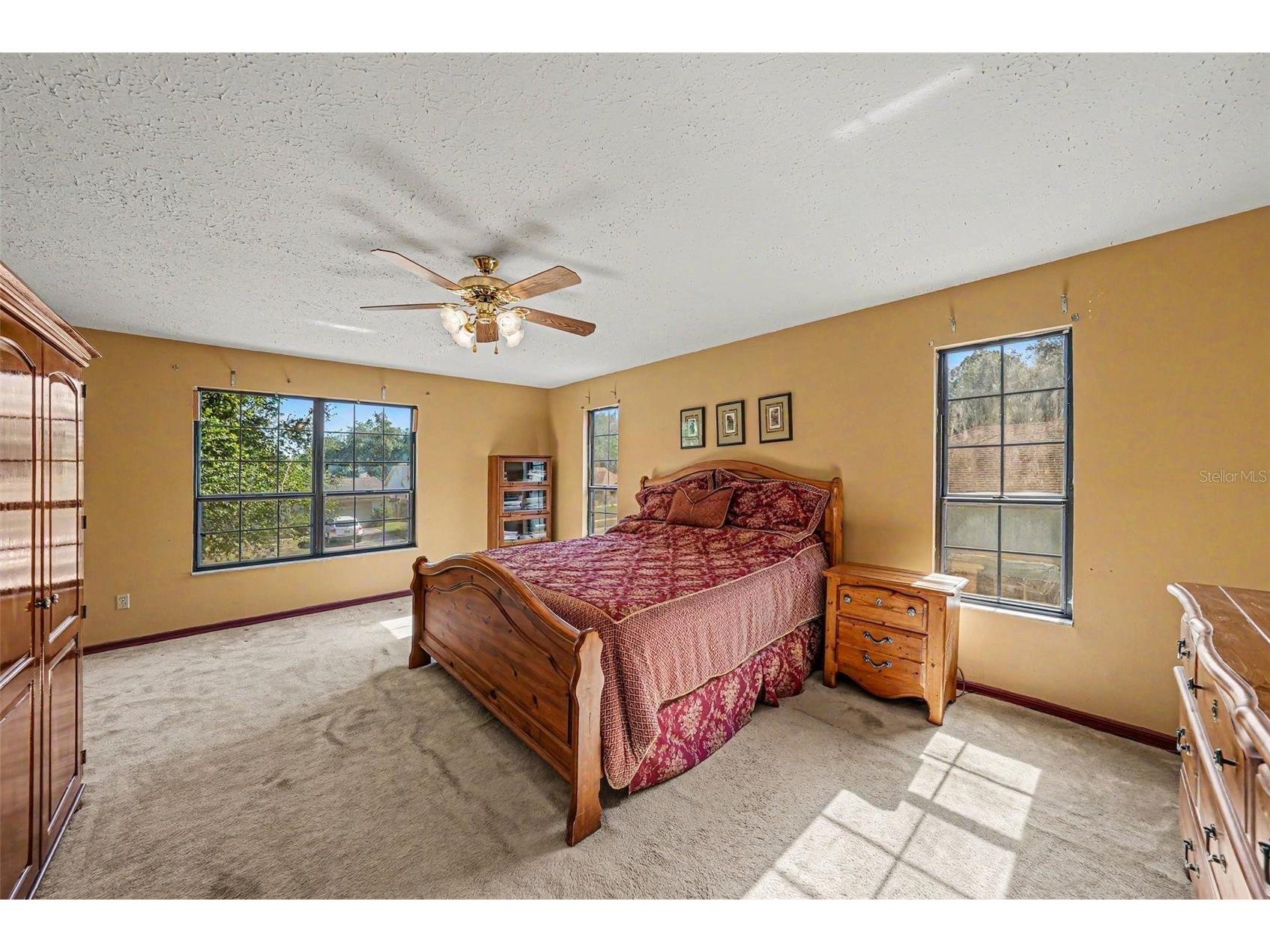 6612 Peachtree Drive Tampa FL 33617 TB8509973 image17