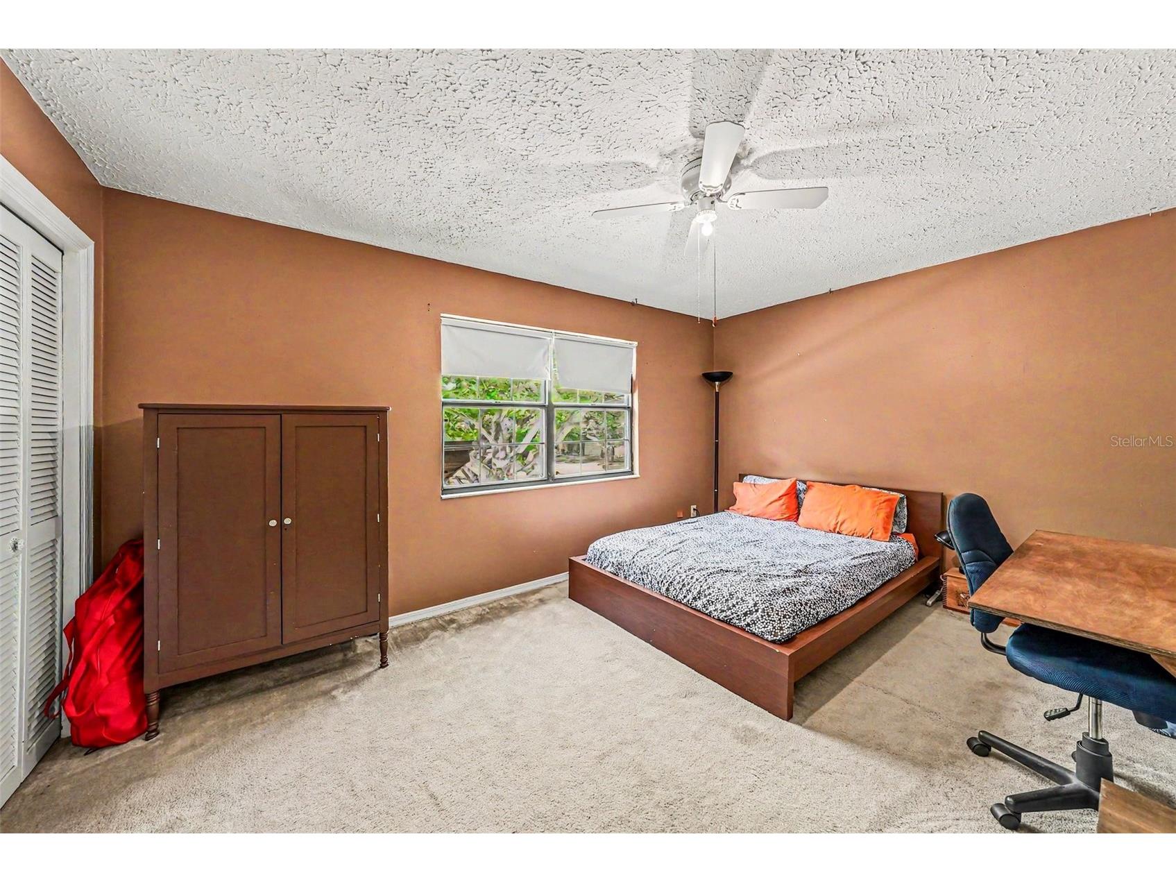 6612 Peachtree Drive Tampa FL 33617 TB8509973 image18