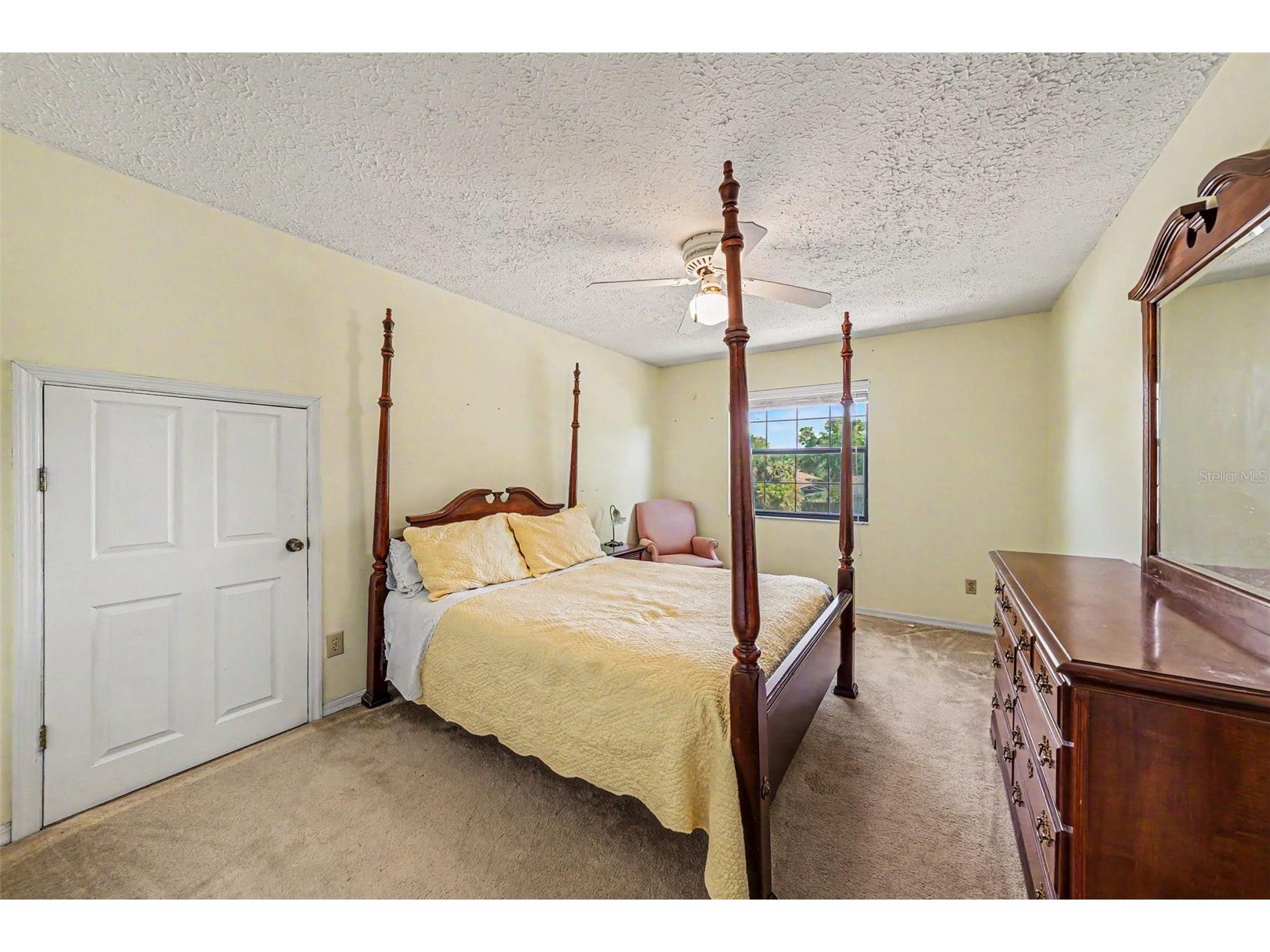 6612 Peachtree Drive Tampa FL 33617 TB8509973 image19