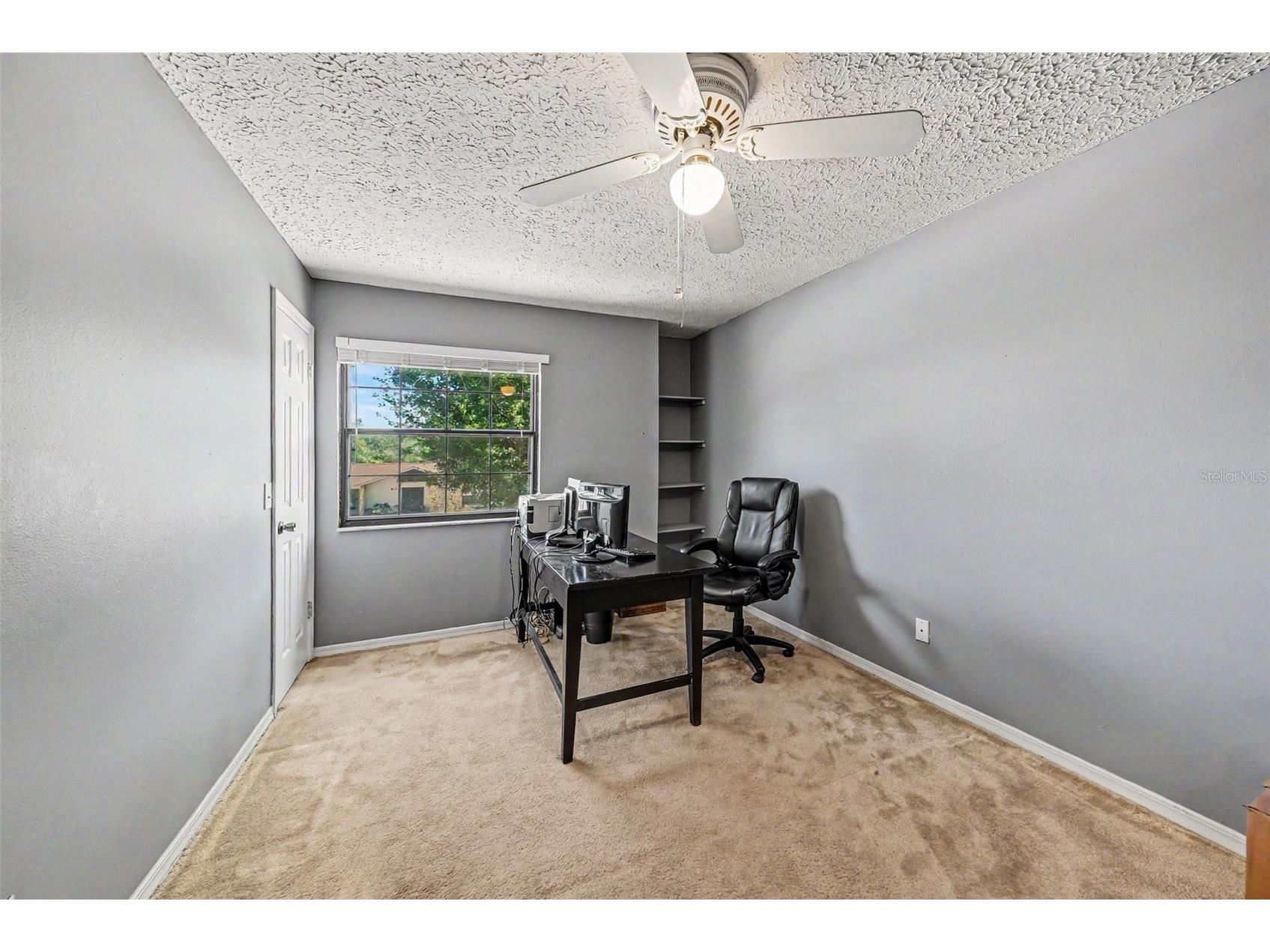 6612 Peachtree Drive Tampa FL 33617 TB8509973 image21