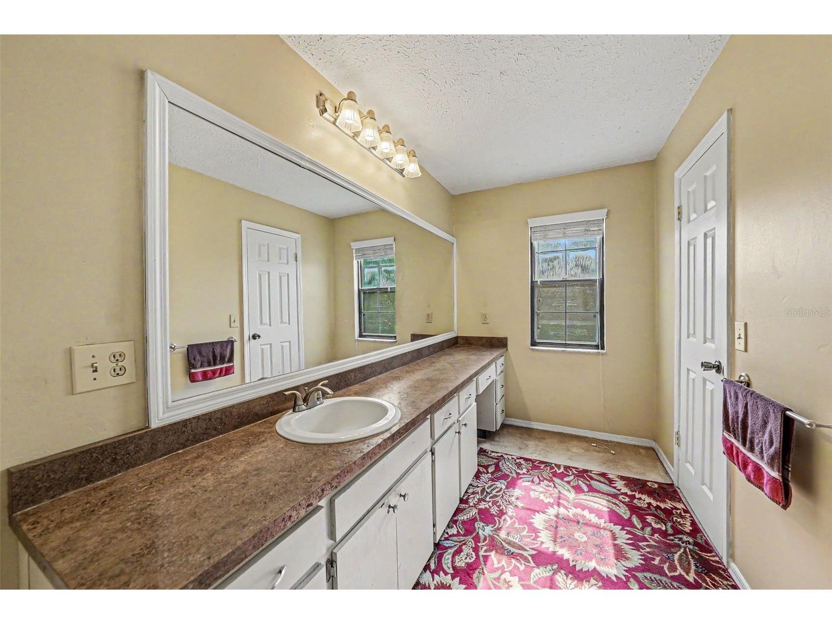 6612 Peachtree Drive Tampa FL 33617 TB8509973 image22