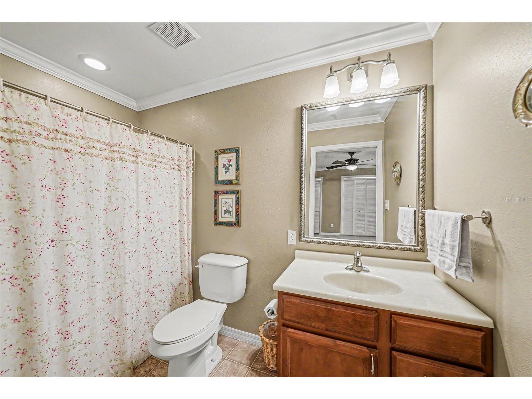 6612 Peachtree Drive Tampa FL 33617 TB8509973 image25
