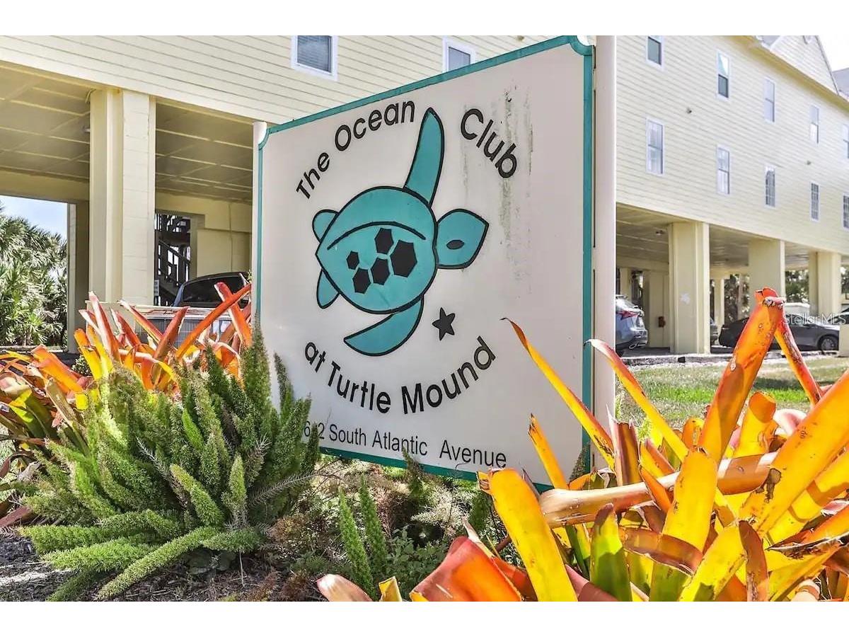6612 S Atlantic Avenue #201 New Smyrna Beach FL 32169 - ATLANTIC OCEAN NS1088122 image4