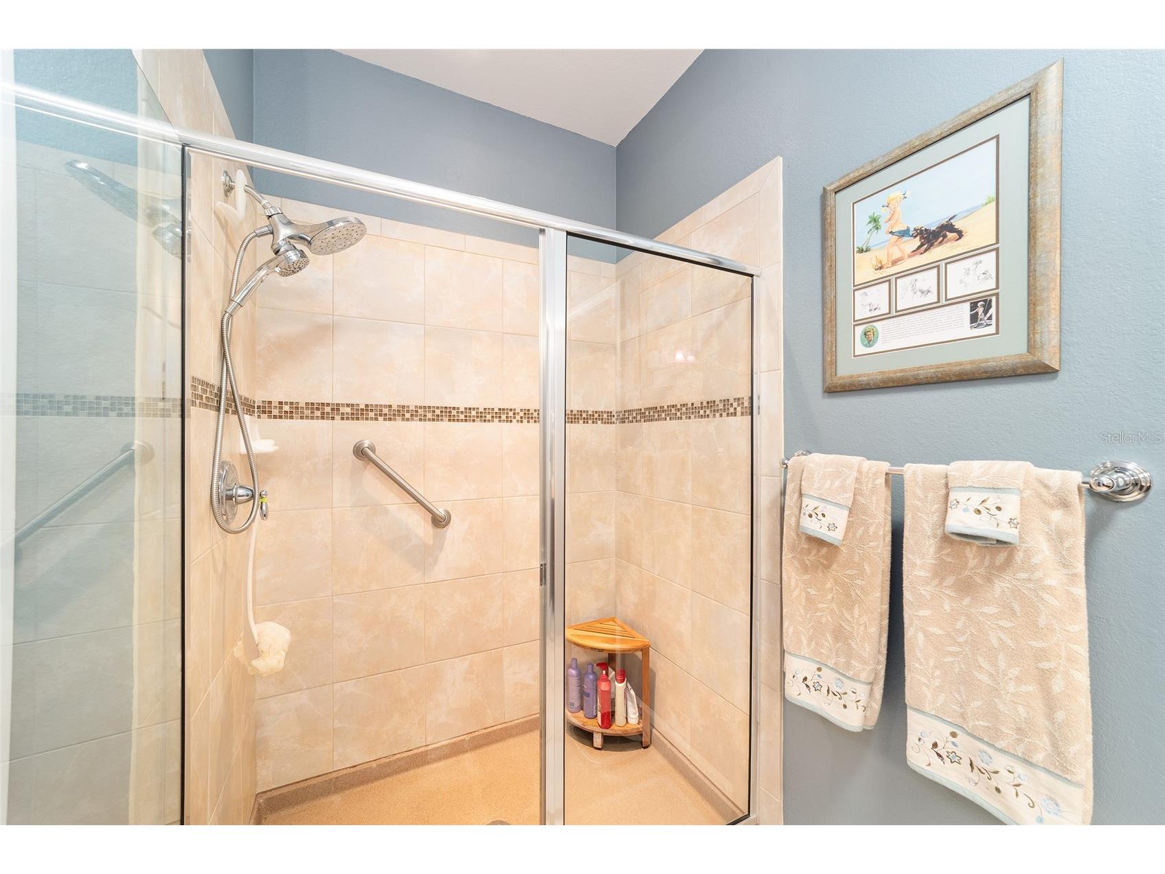 6612 SW 91st Circle Ocala FL 34481 OM717655 image28