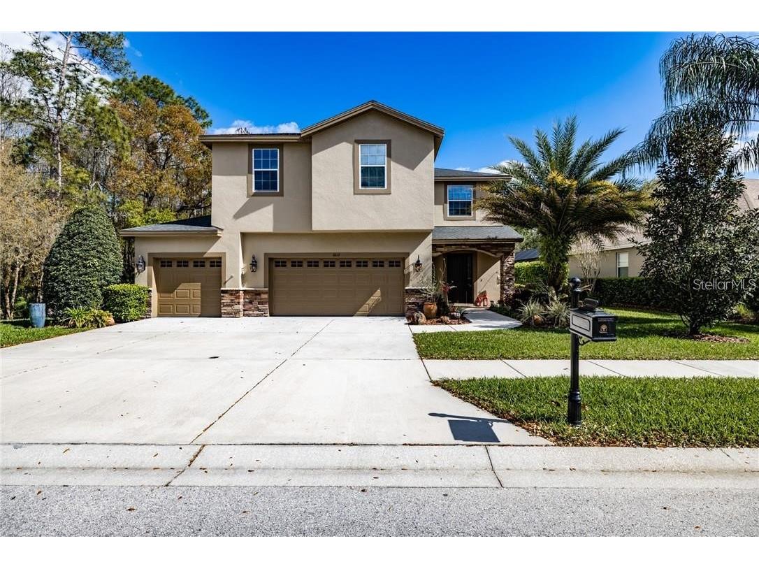 6612 Thornton Palms Drive Tampa FL 33647 TB8364782 image1