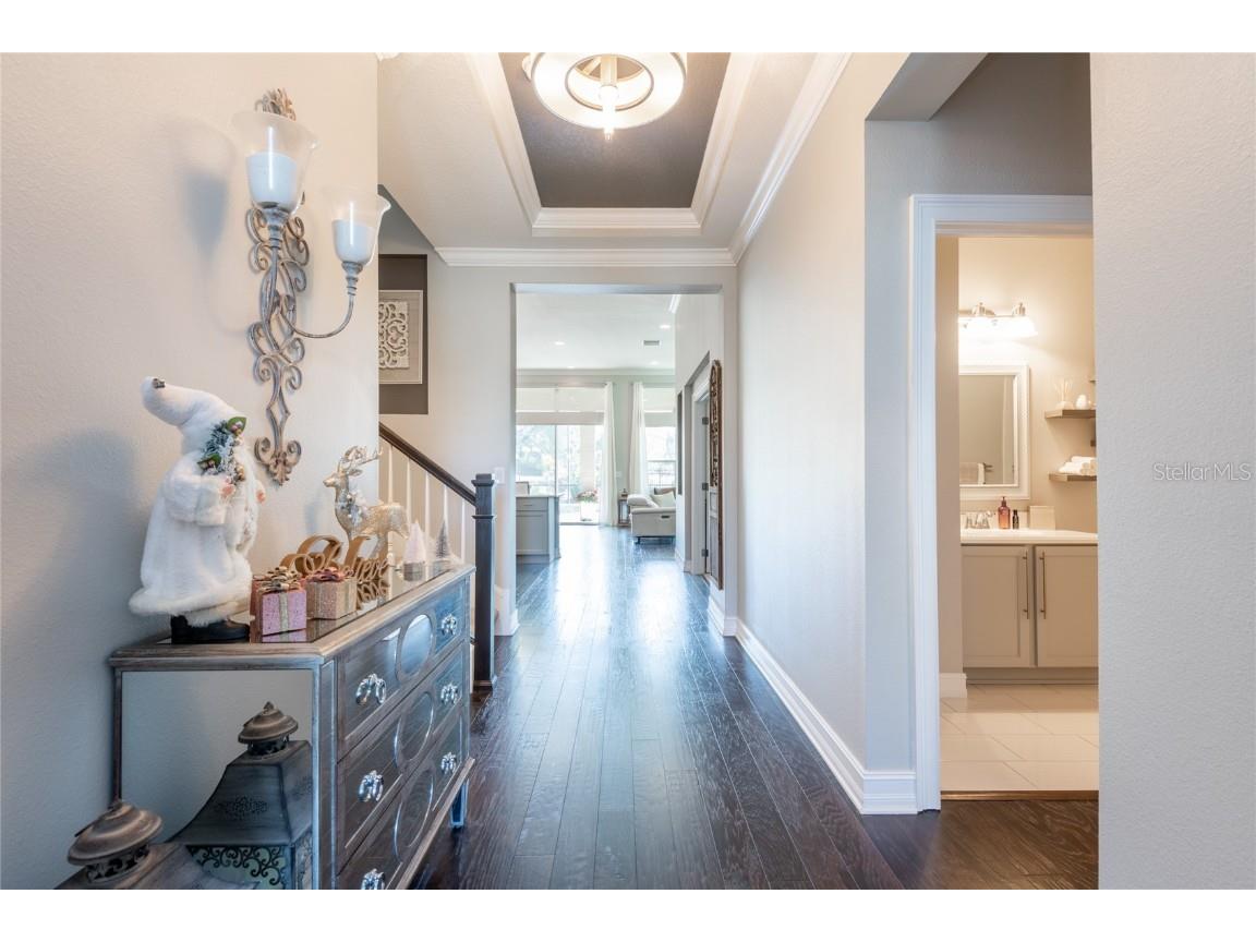 6615 Current Drive Apollo Beach FL 33572 TB8456928 image11