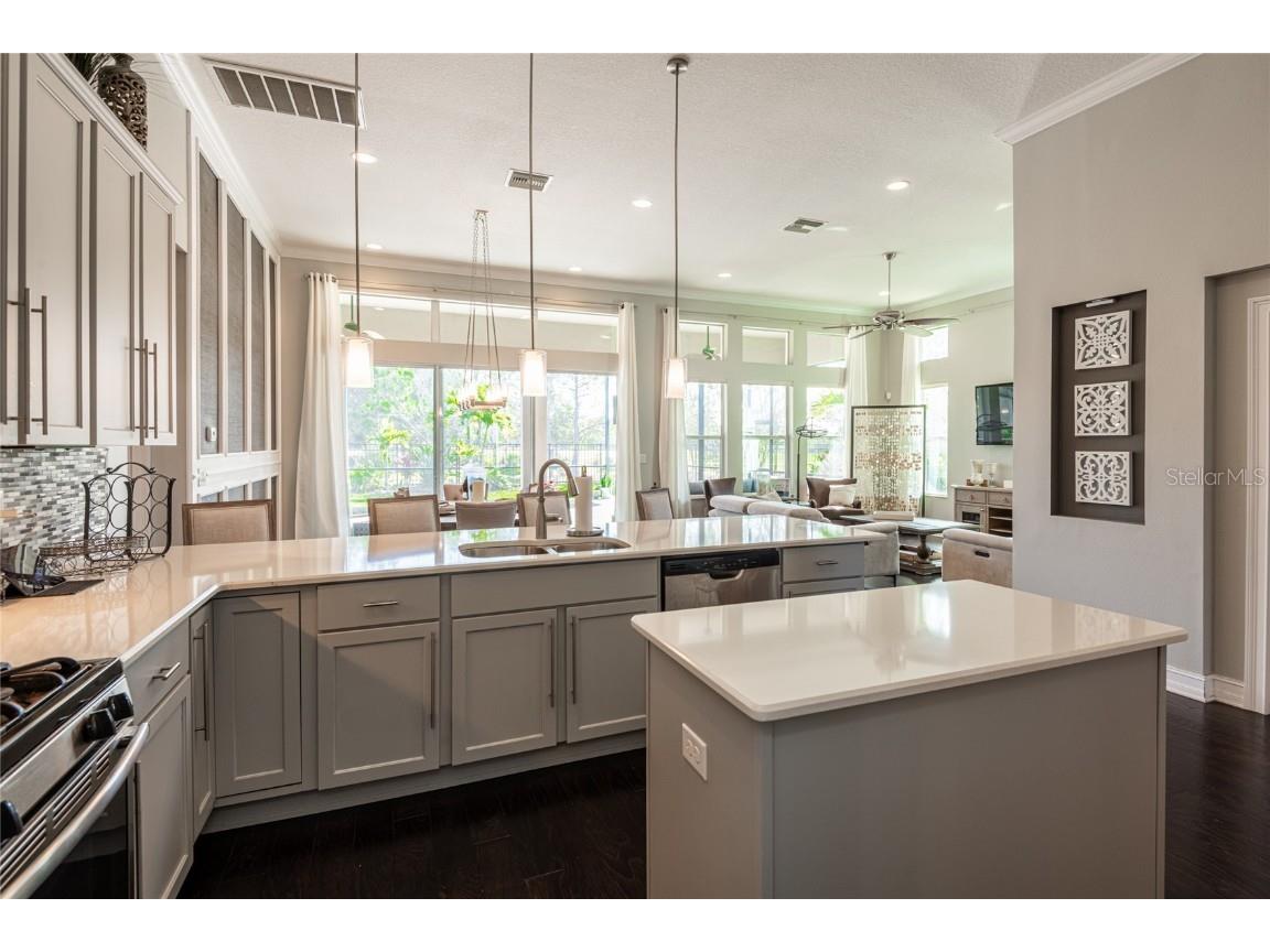 6615 Current Drive Apollo Beach FL 33572 TB8456928 image15