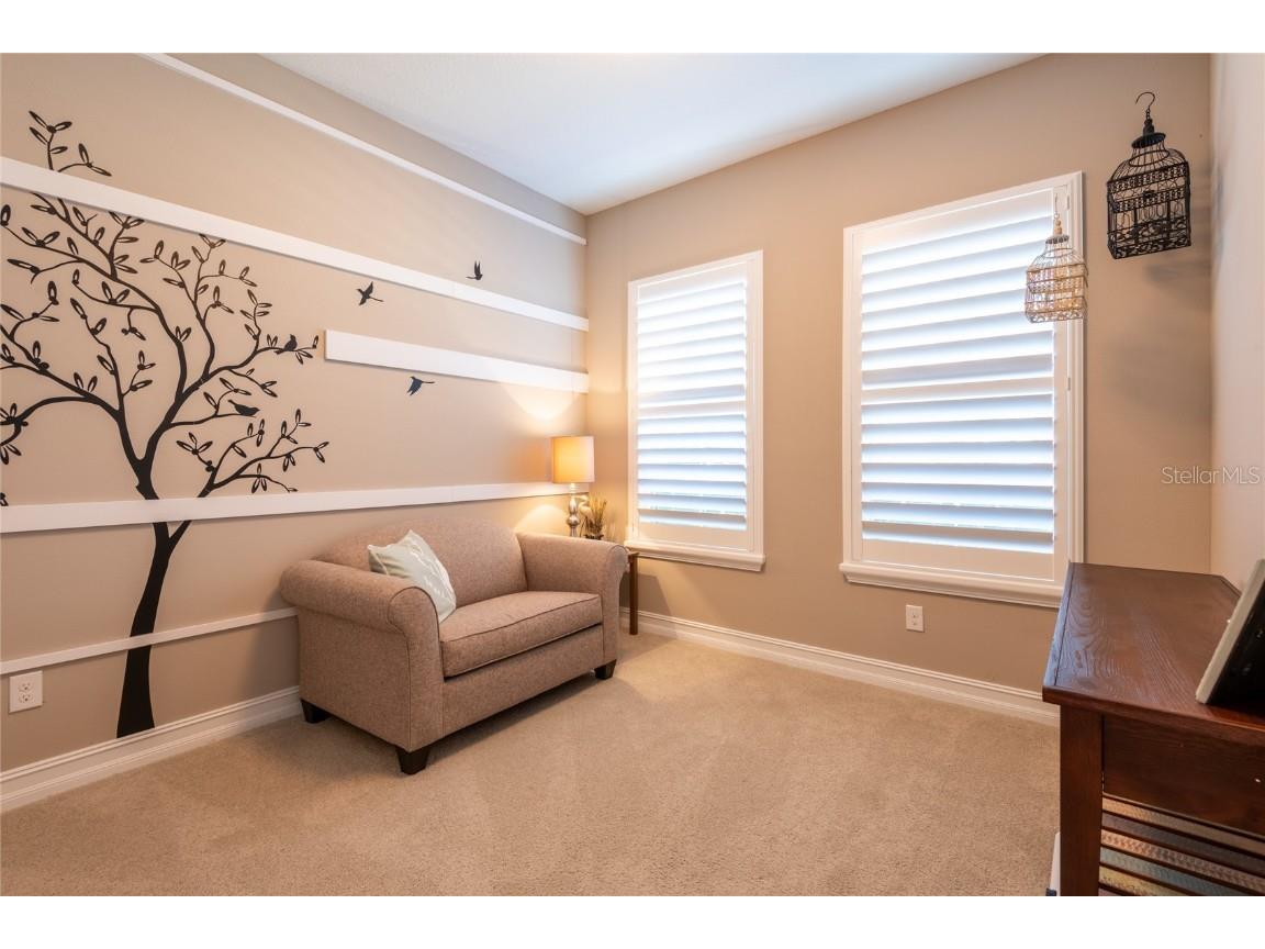 6615 Current Drive Apollo Beach FL 33572 TB8456928 image29