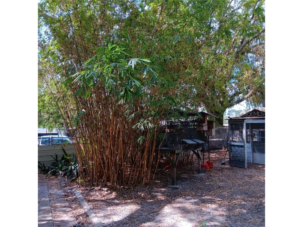 6615 New Tampa Highway Lakeland FL 33815 TB8398969 image4