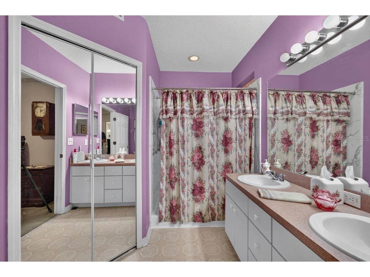 6615 Summer Cove Drive Riverview FL 33578 TB8521640 image25