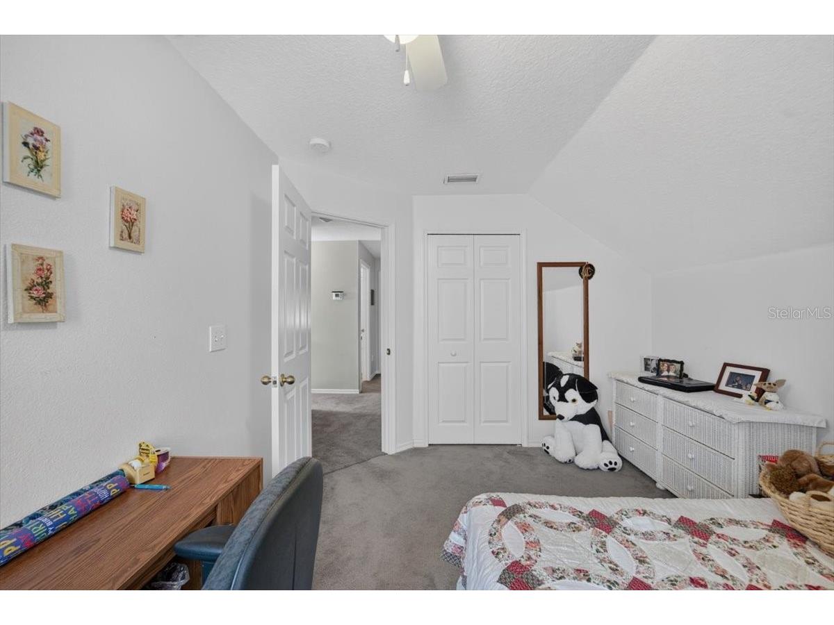 6615 Summer Cove Drive Riverview FL 33578 TB8521640 image30