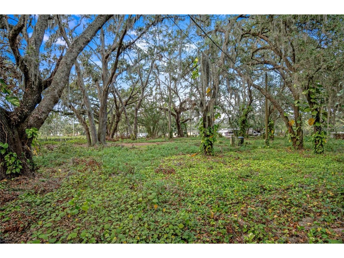 6615 Thonotosassa Road Plant City FL 33565 O6268238 image1