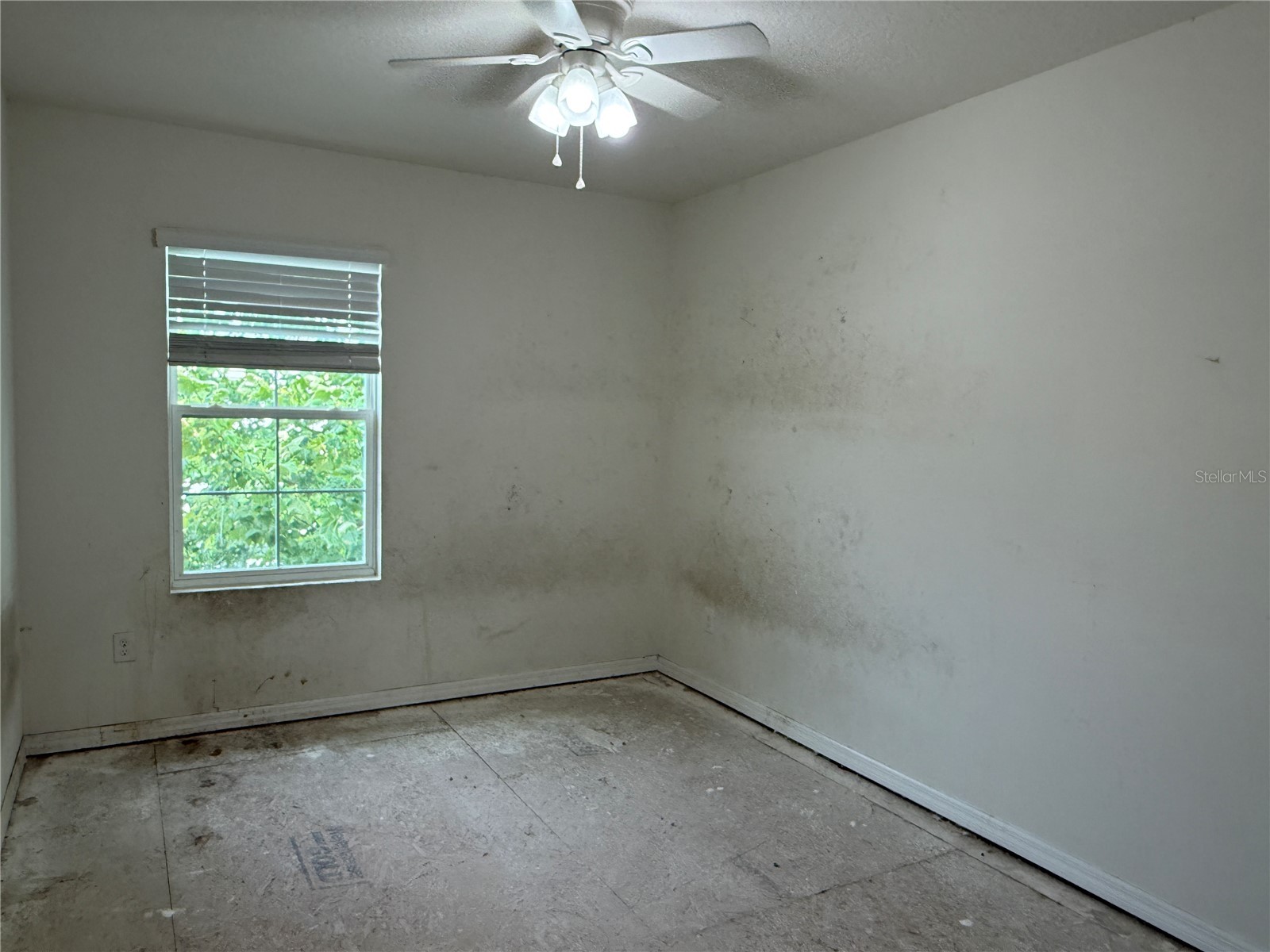 6616 Seaway Drive Brooksville FL 34604 TB8508635 image19
