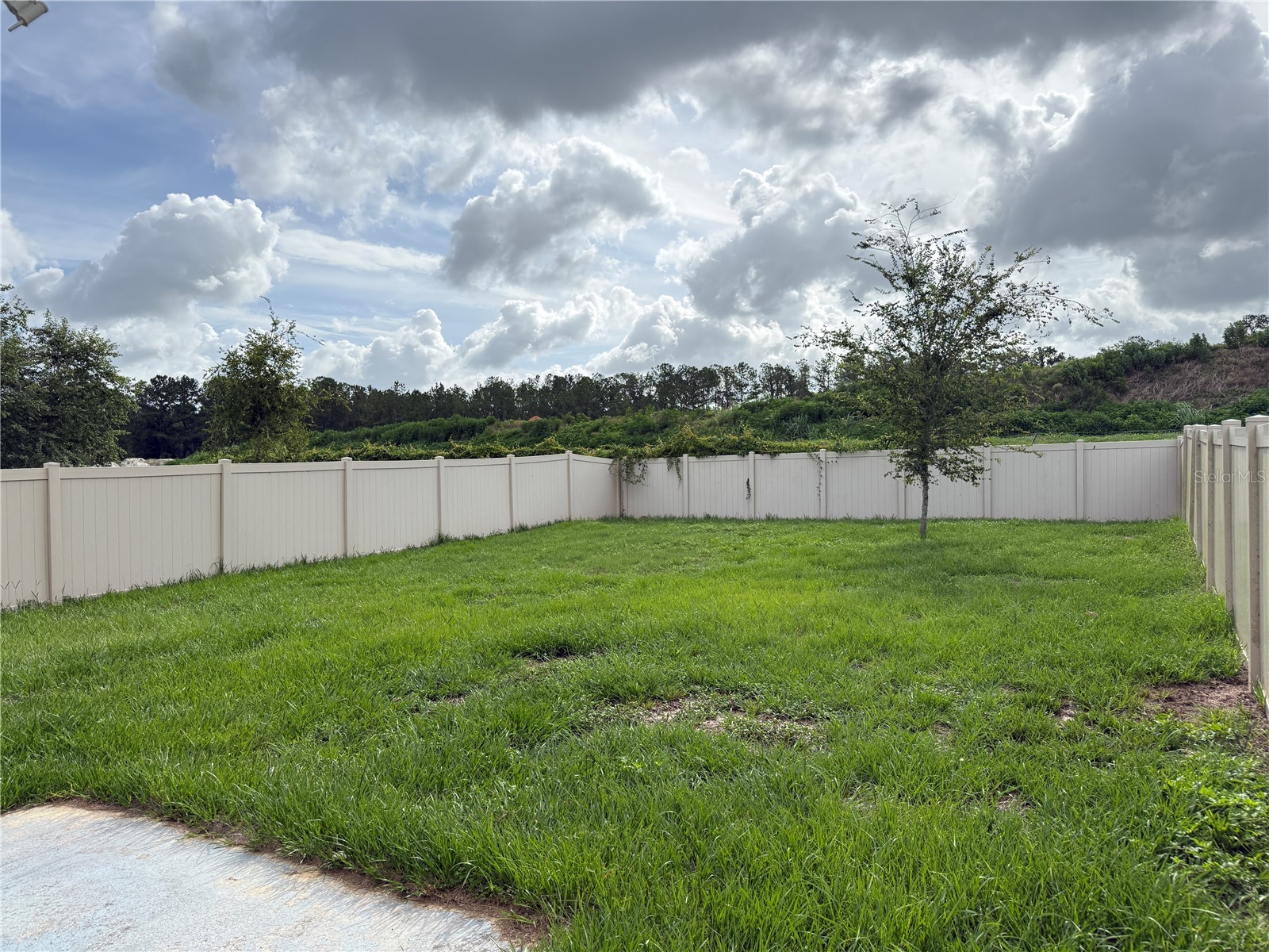 6616 Seaway Drive Brooksville FL 34604 TB8508635 image4