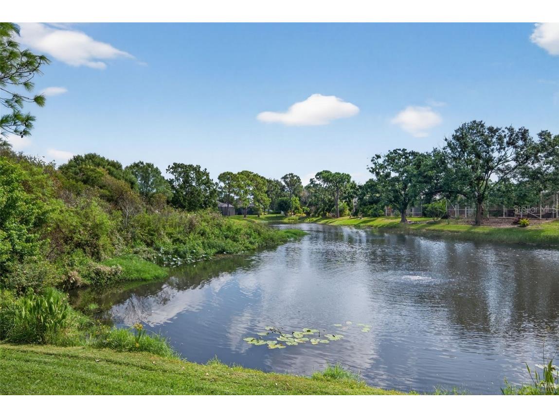 6617 Cheswick Street Sarasota FL 34243 A4669260 image24