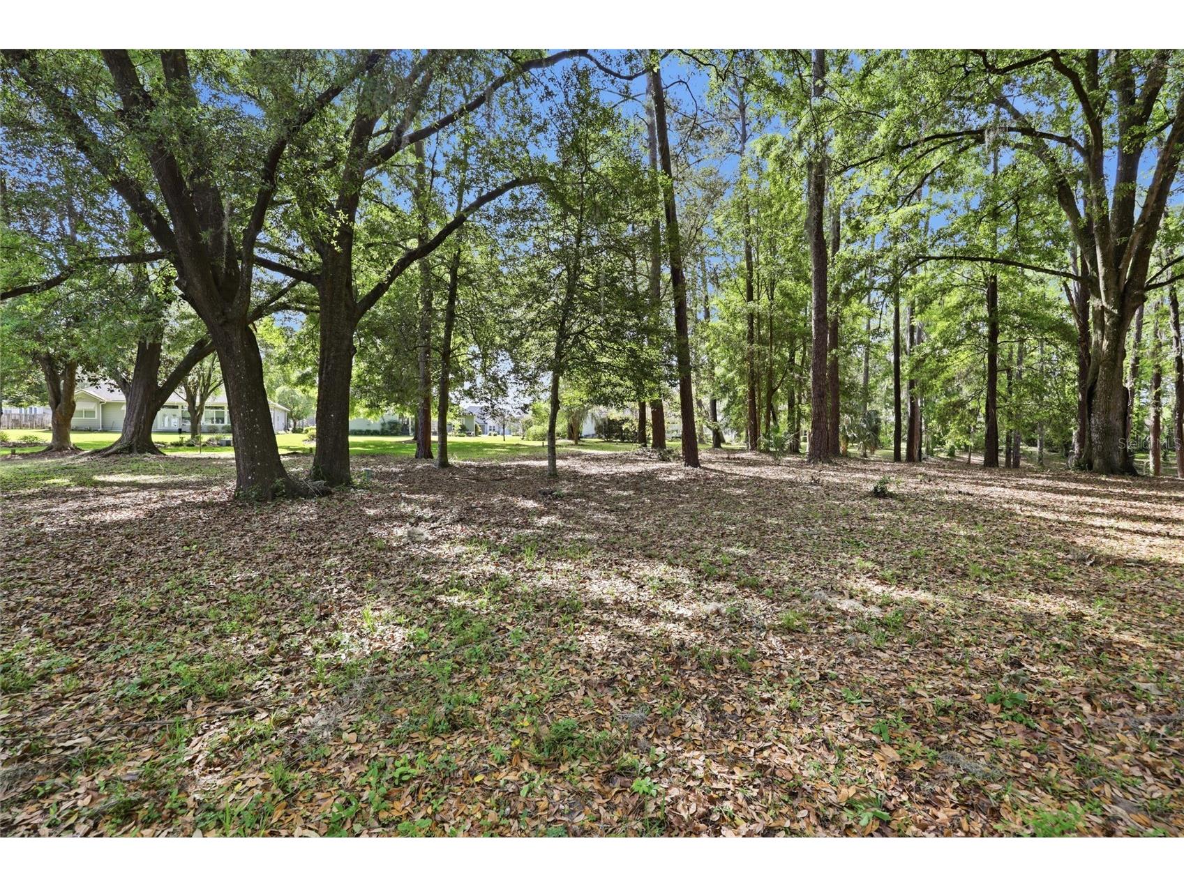 6617 NW 114th Lane #6617 Alachua FL 32615 GC538861 image45