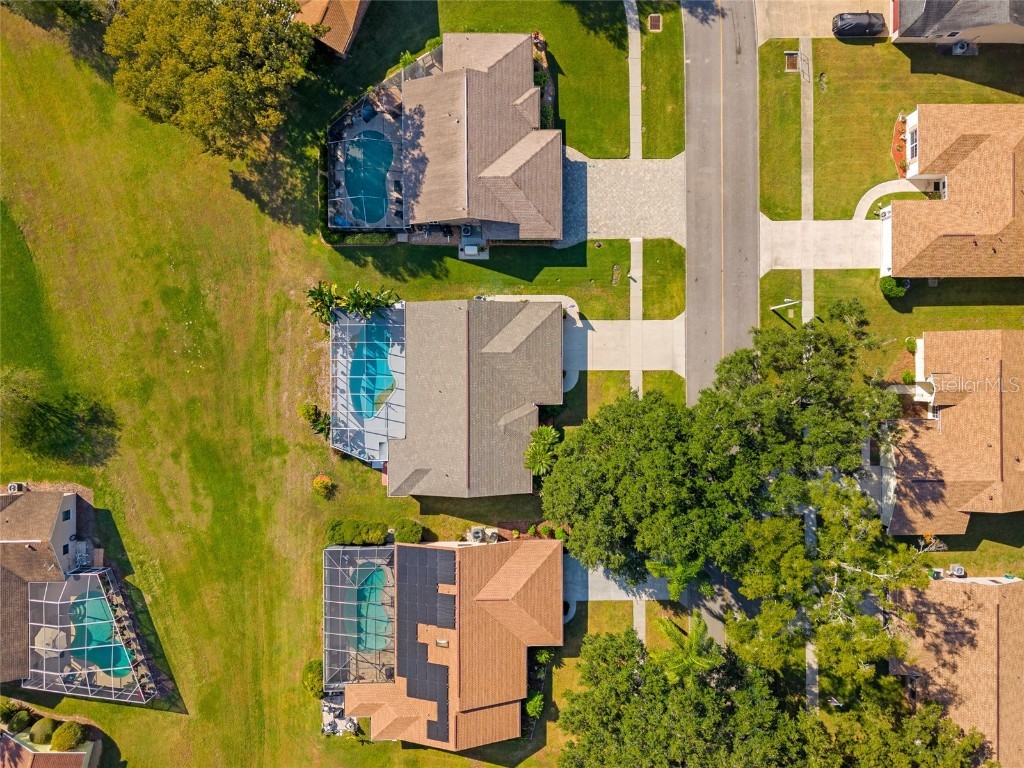 6618 Foxmoor Drive Zephyrhills FL 33542 TB8444605 image33