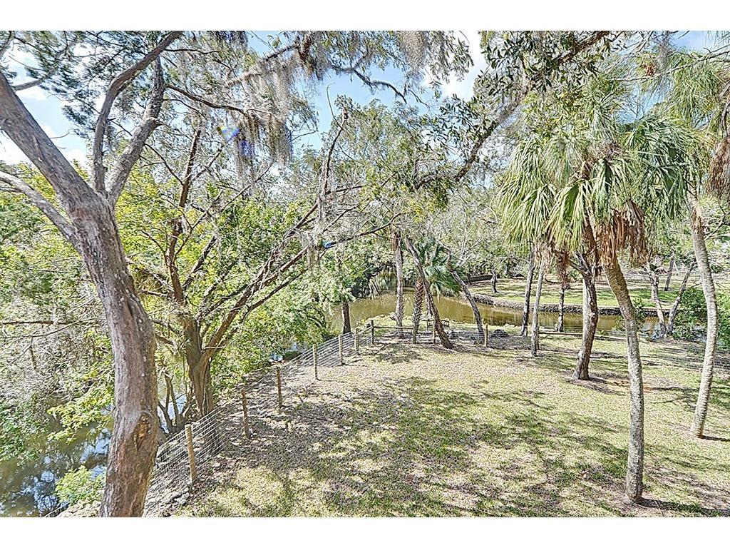 6618 S Beagle Drive Homosassa FL 34448 A4697297 image16