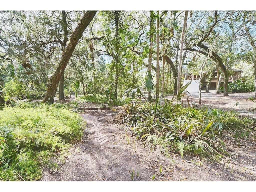 6618 S Beagle Drive Homosassa FL 34448 A4697297 image18