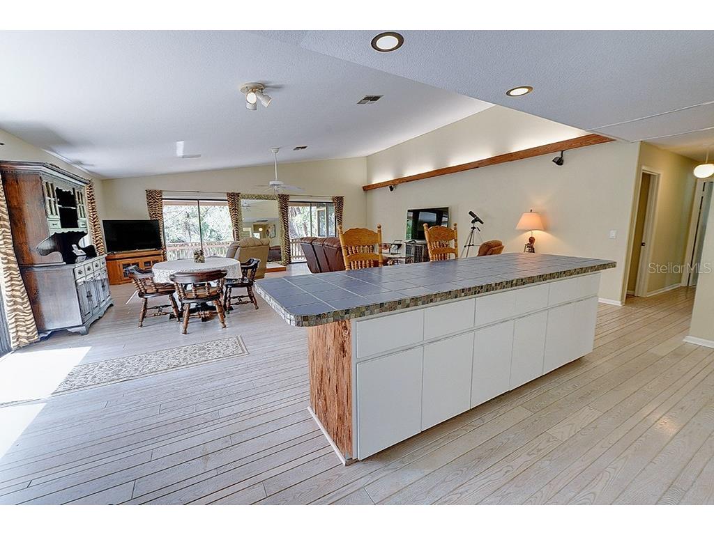 6618 S Beagle Drive Homosassa FL 34448 A4697297 image25