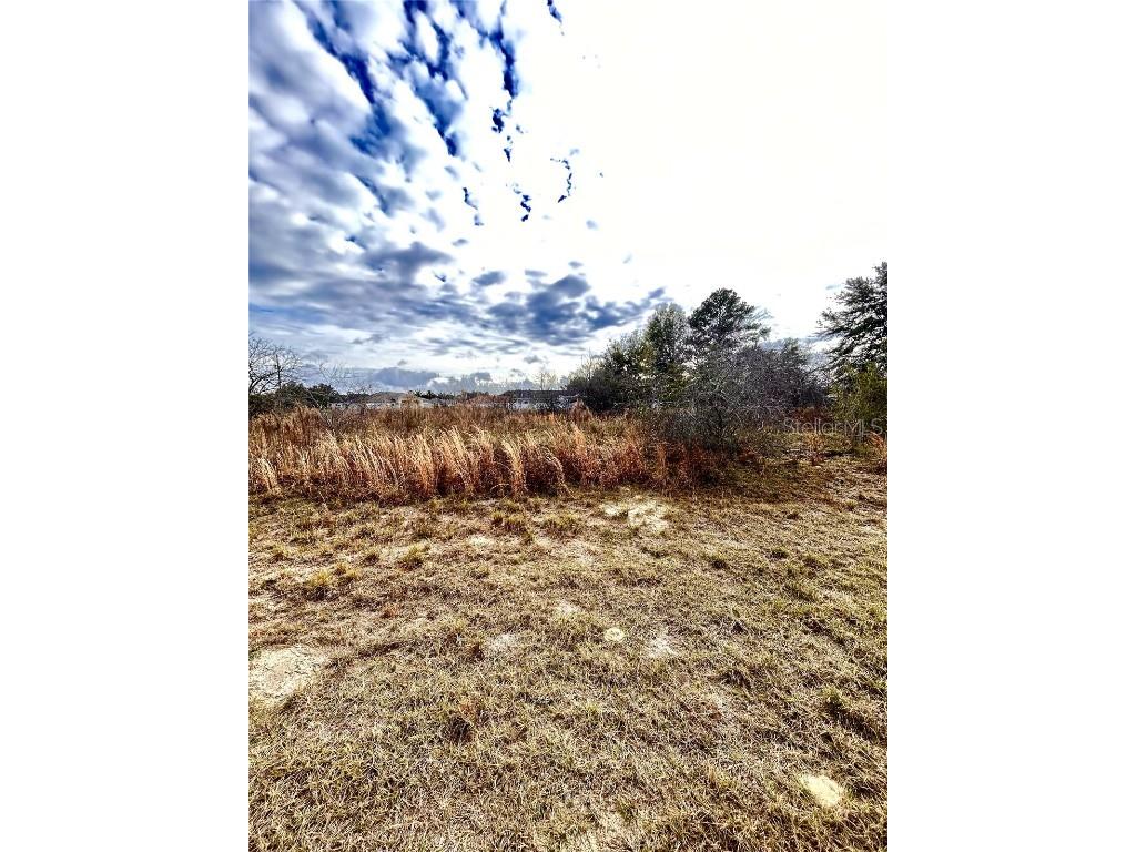 6618 SW 128th Place Ocala FL 34473 R4907568 image1