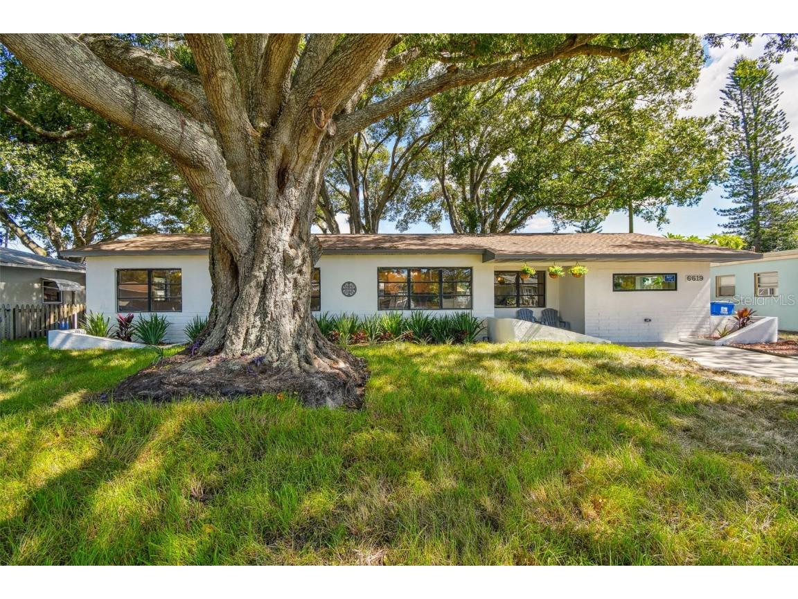 6619 10th Street N Saint Petersburg FL 33702 U8218059 image1