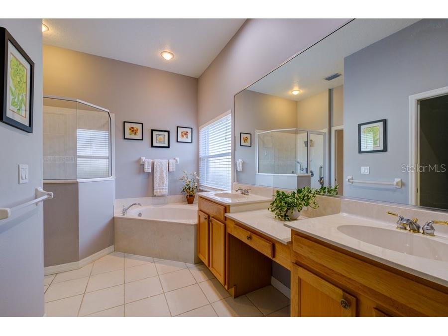 6619 Copper Ridge Trail Bradenton FL 34201 A4645737 image16