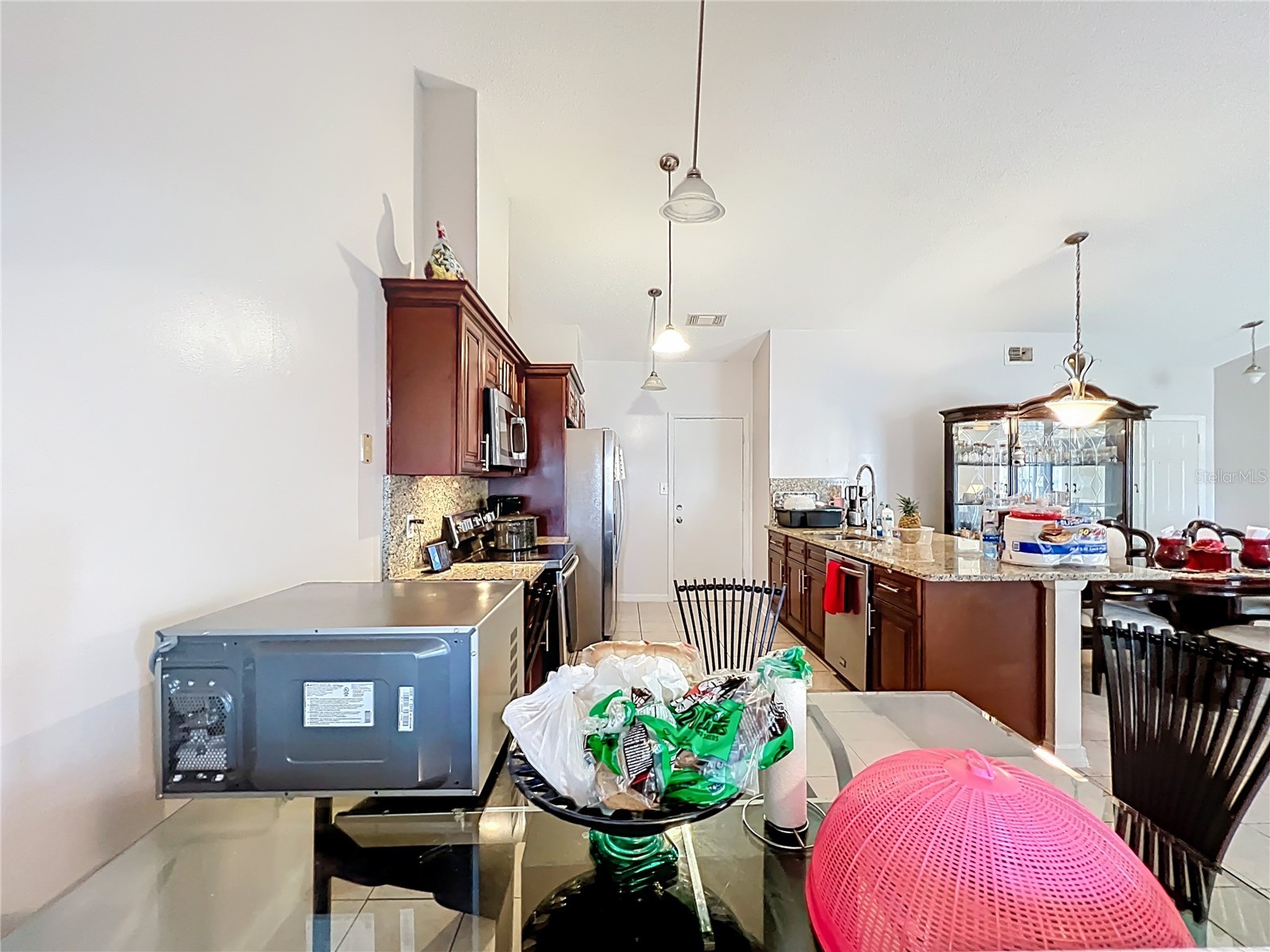 6619 Hiawassee Meadows Drive Orlando FL 32818 O6401422 image17