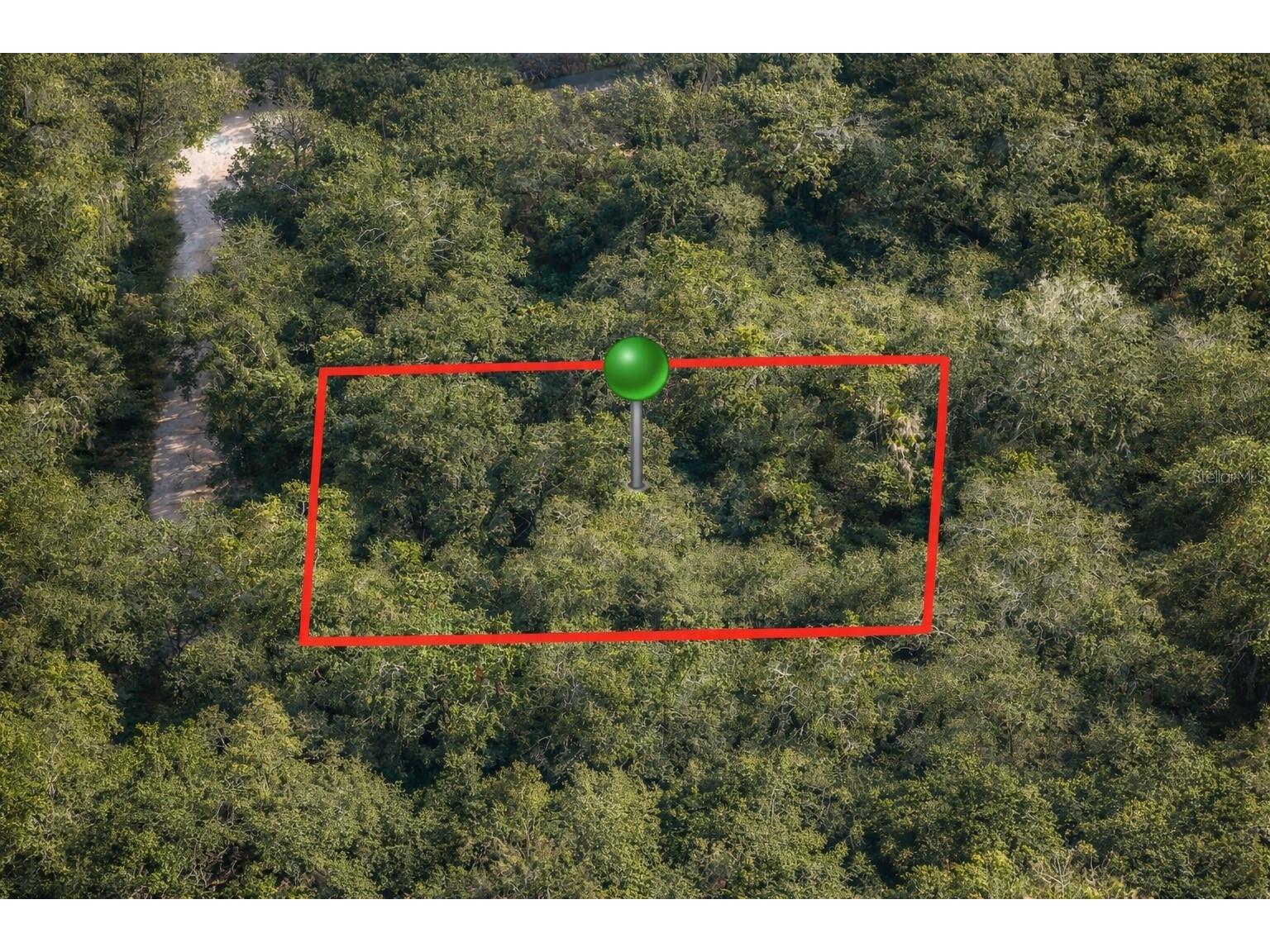 6619 N Canopy Terrace Hernando FL 34442 C7522341 image1