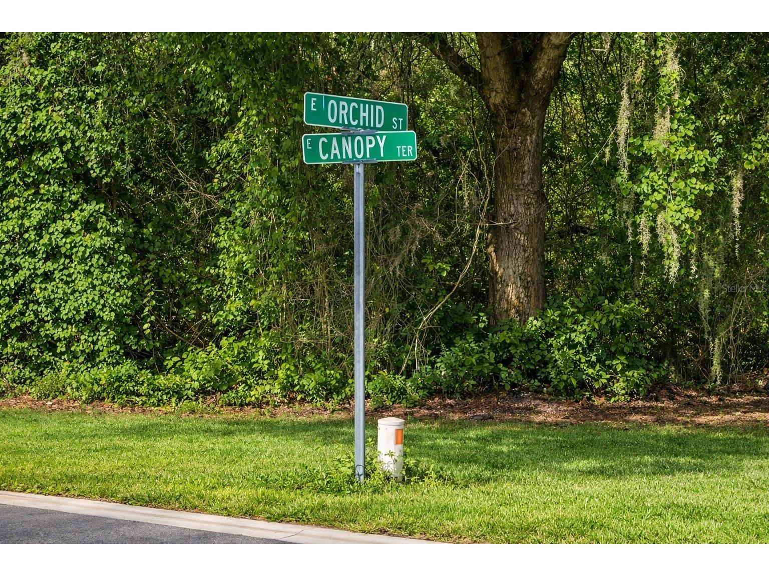 6619 N Canopy Terrace Hernando FL 34442 C7522341 image3