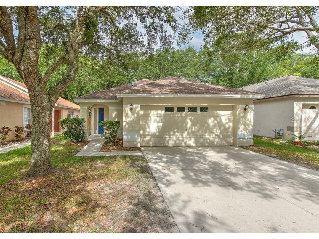 6619 Summer Haven Drive Riverview FL 33578 T3535443 image1