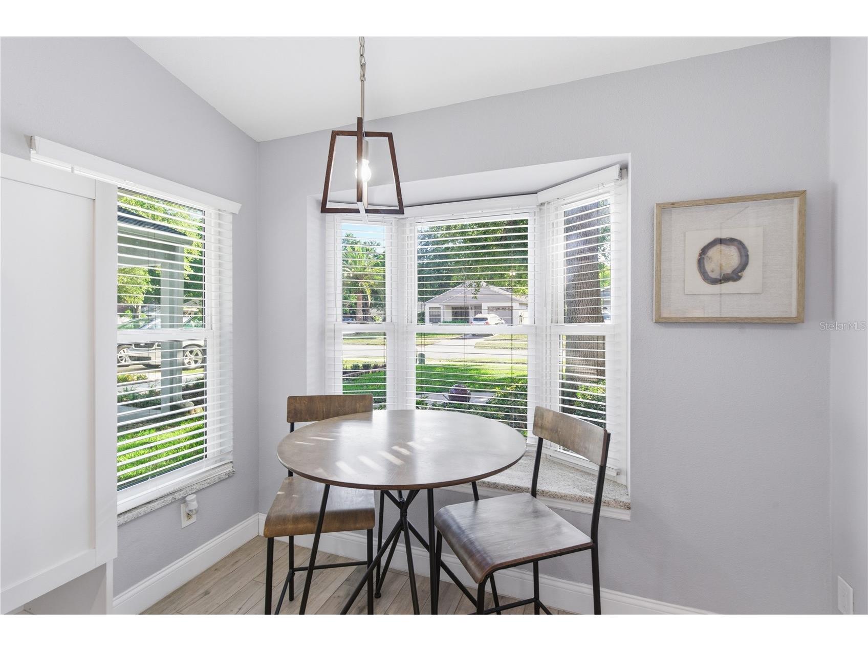 662 Bellingham Place Palm Harbor FL 34684 - SAINT GEORGE LAKE TB8516642 image17