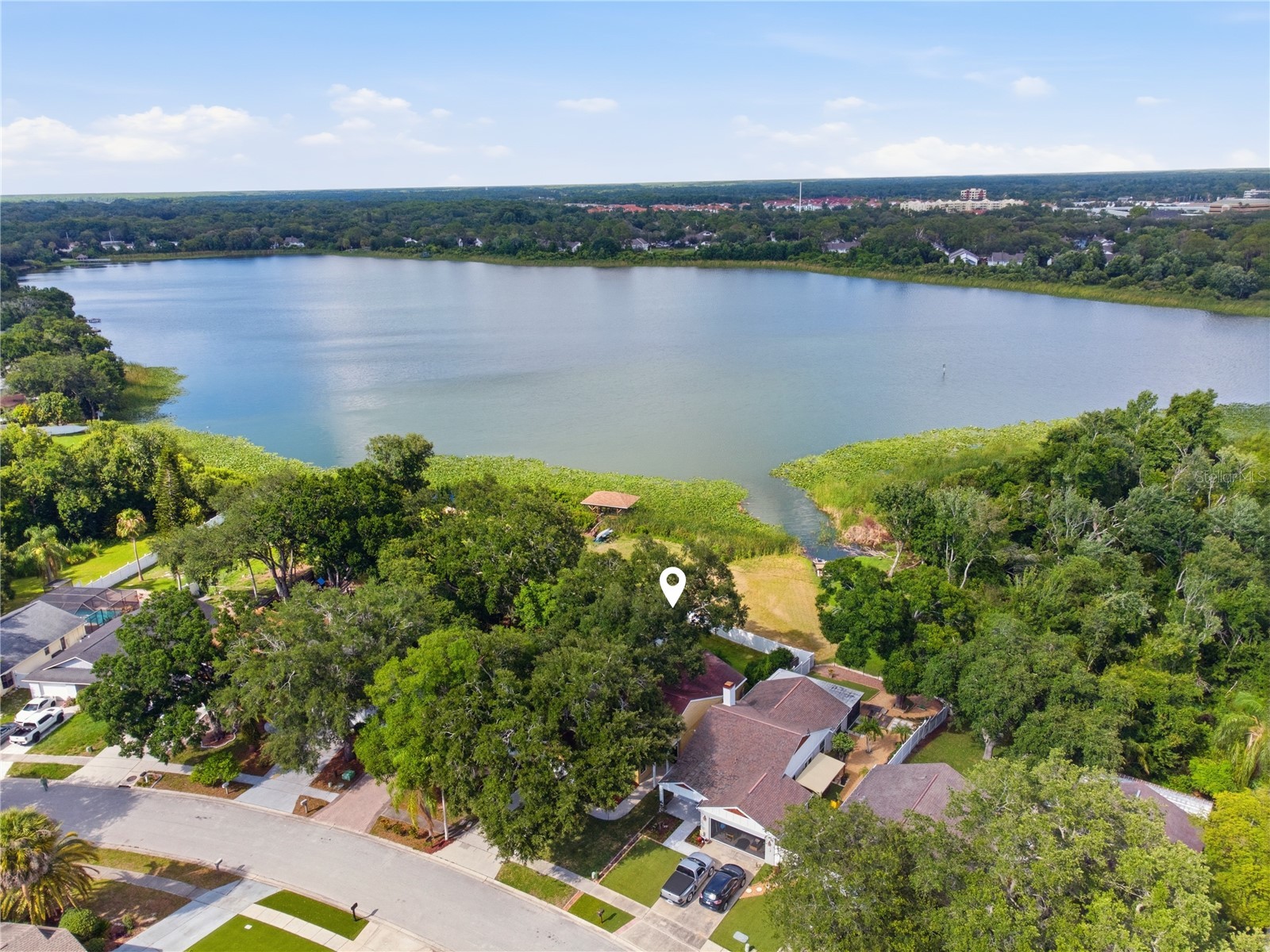 662 Bellingham Place Palm Harbor FL 34684 - SAINT GEORGE LAKE TB8516642 image2
