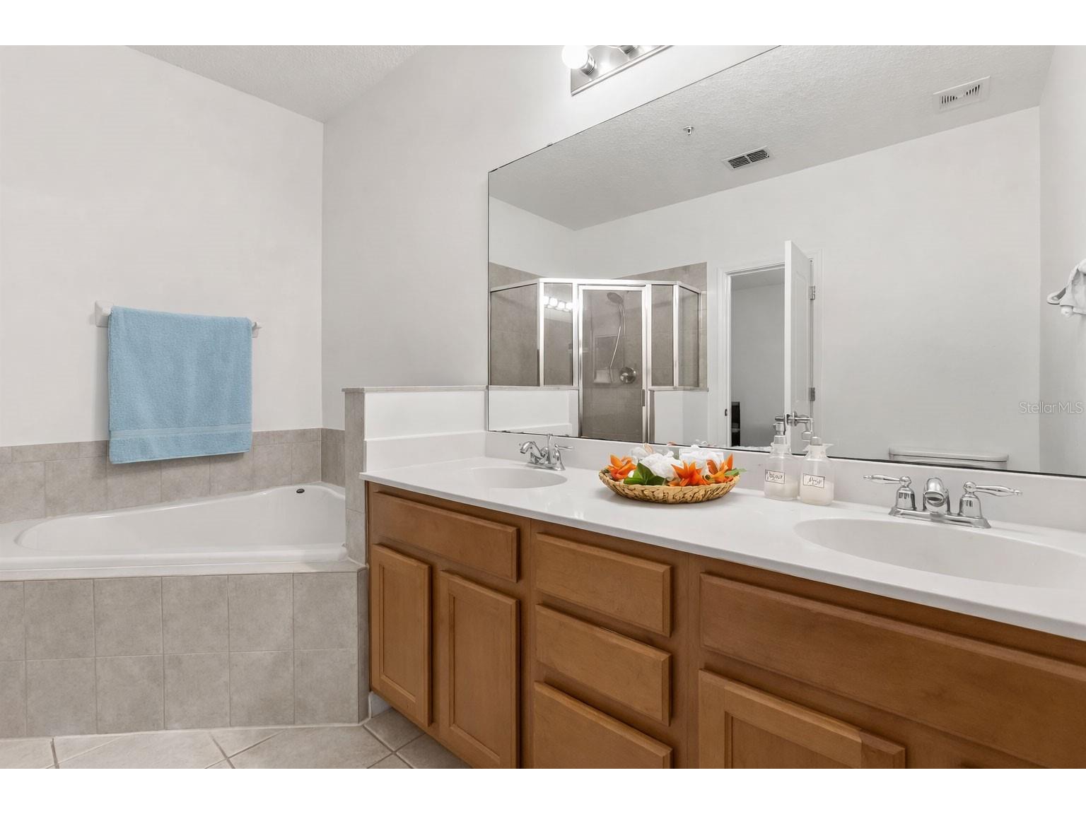 662 Fortanini Circle Ocoee FL 34761 O6389372 image14