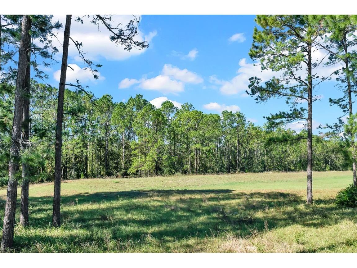 662 Orista Drive Davenport FL 33897 P4934585 image41