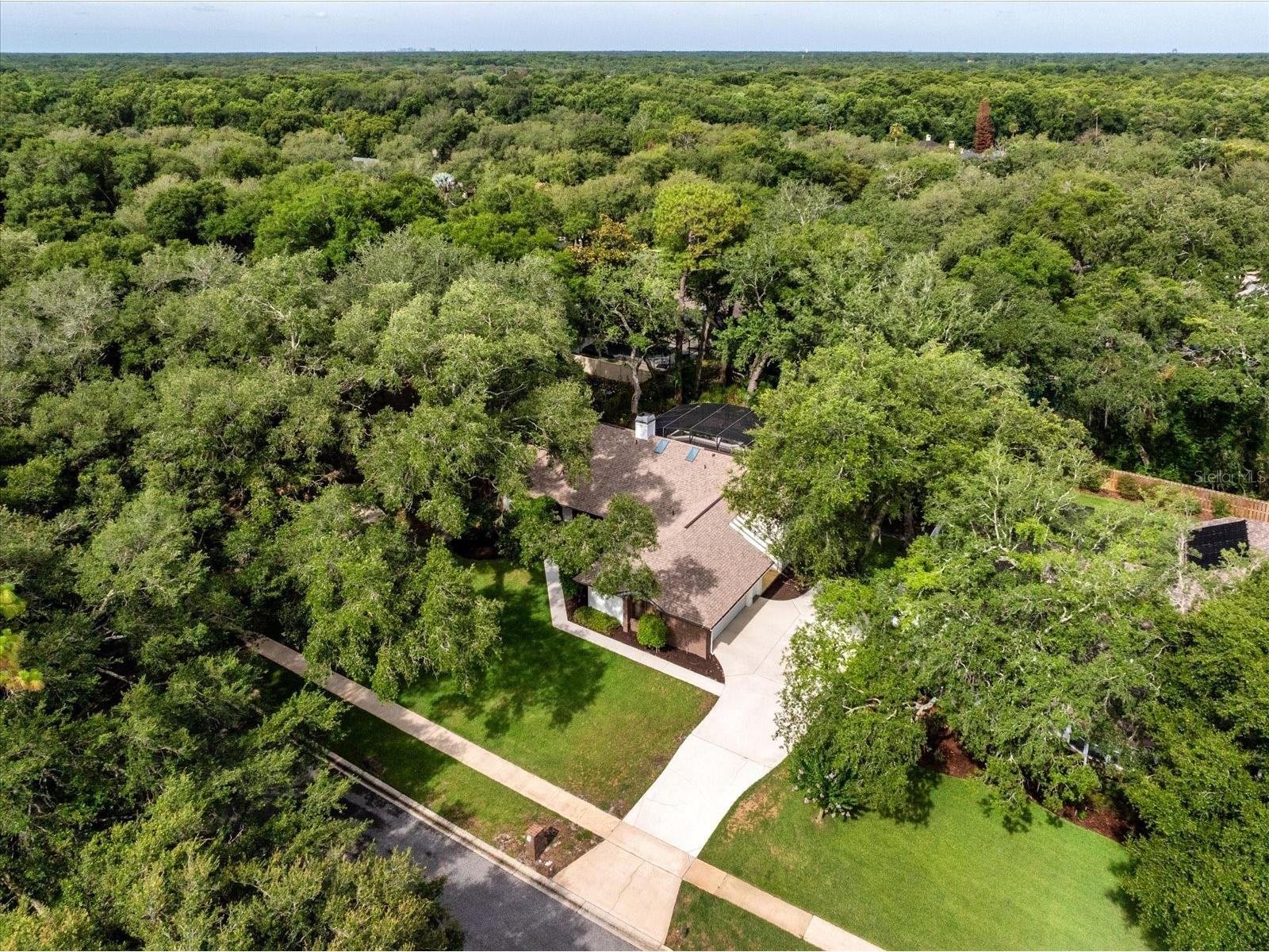 662 Saranac Drive Winter Springs FL 32708 O6413437 image14