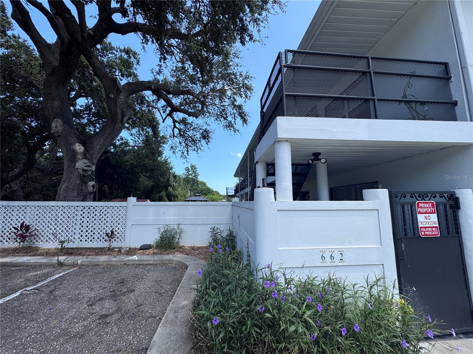 662 Union Street #1A Dunedin FL 34698 TB8506181 image17