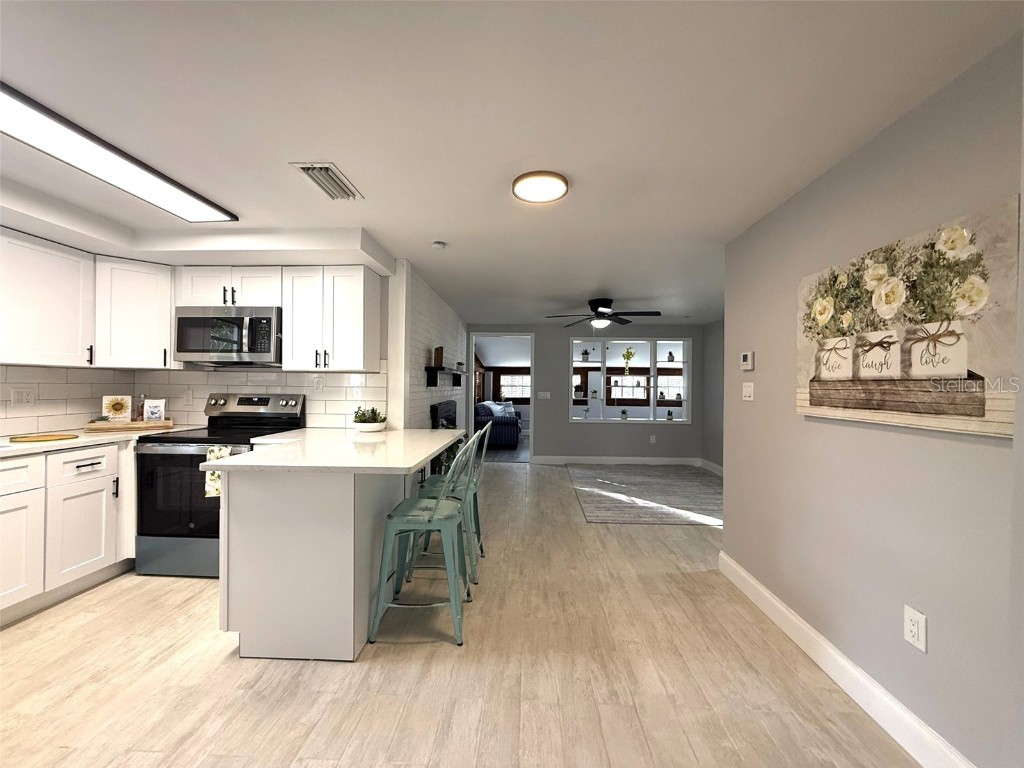 6620 Oelsner Street New Port Richey FL 34652 W7877847 image4