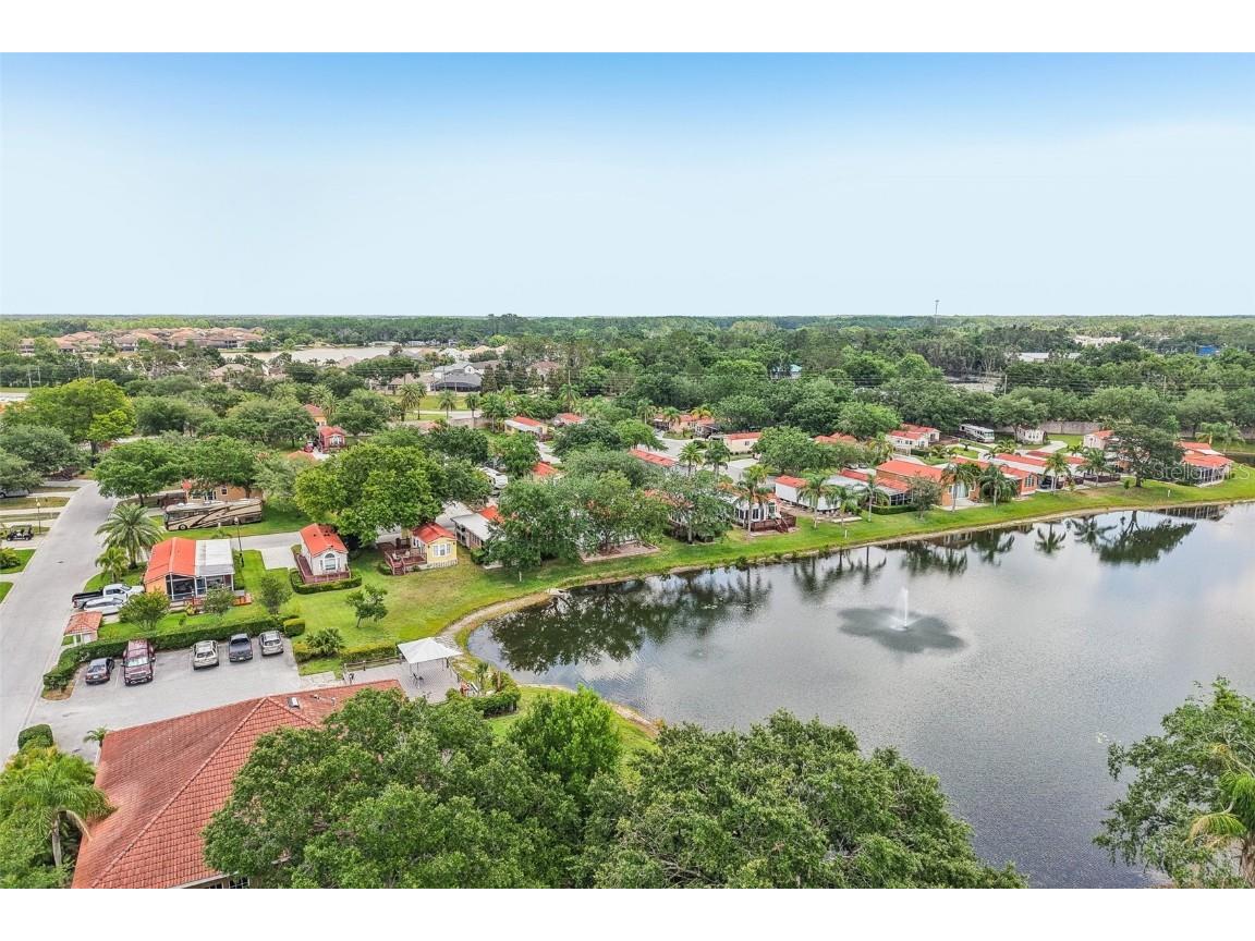 6621 La Mesa Road Land O Lakes FL 34637 P4935133 image43