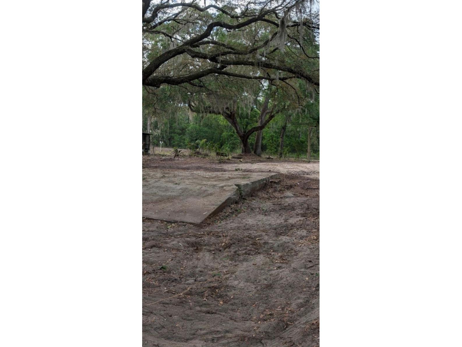 6621 Virginia Beach Lane Keystone Heights FL 32656 S5146762 image4