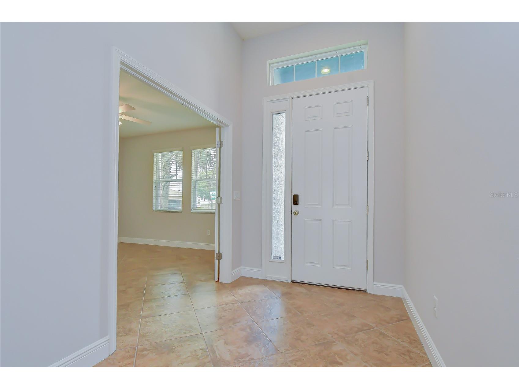 6622 Fairwater Drive Riverview FL 33578 - ALAFIA RIVER TB8528183 image4