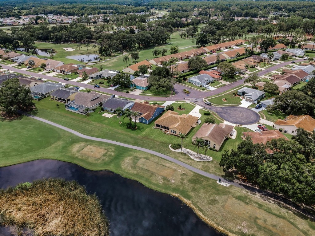 6622 Pine Walk Drive New Port Richey FL 34655 W7879281 image36