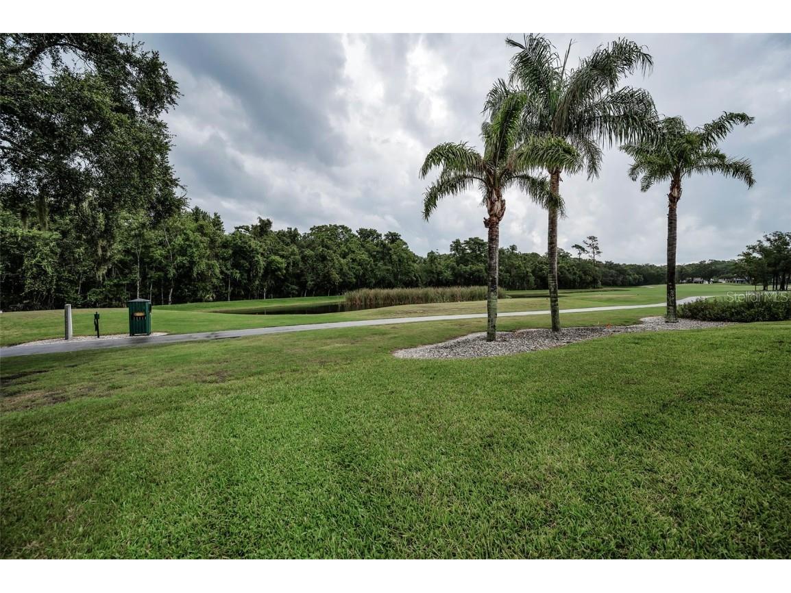 6622 Pine Walk Drive New Port Richey FL 34655 W7879281 image37